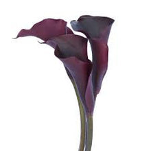 Load image into Gallery viewer, Calla Lily
